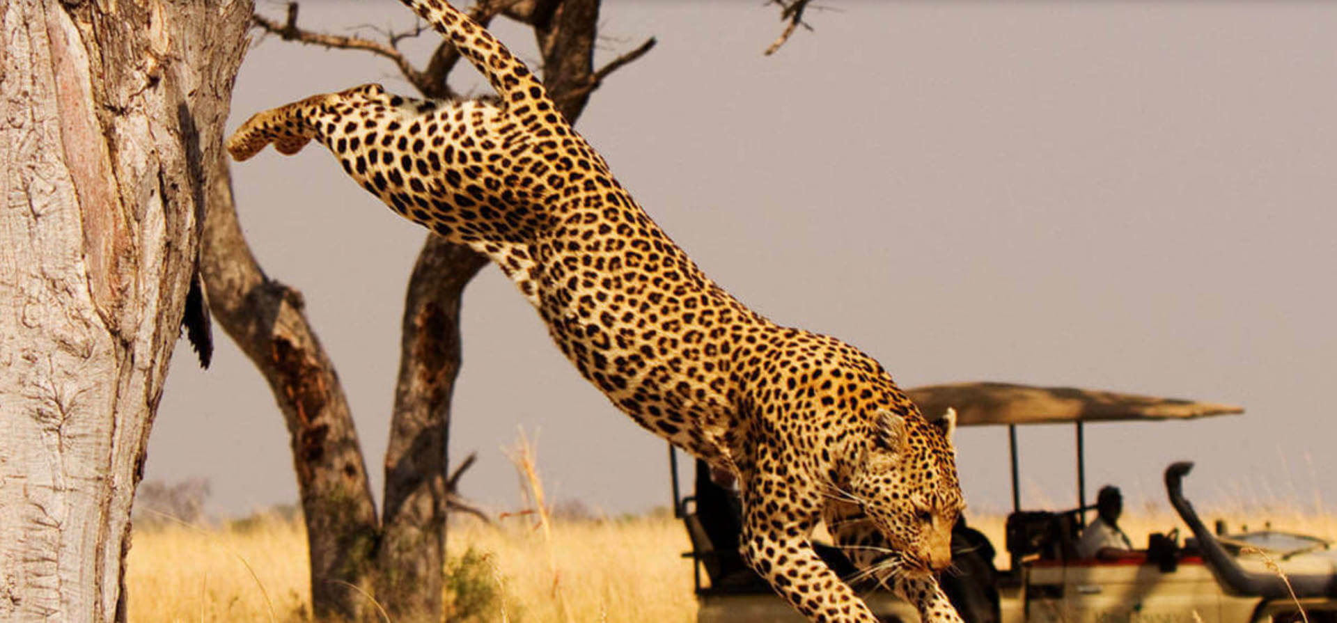 LUXURY SAFARI MAGAZINE FORMS AN EXCITING NEW ALLIANCE WITH AFRICA'S EDEN 