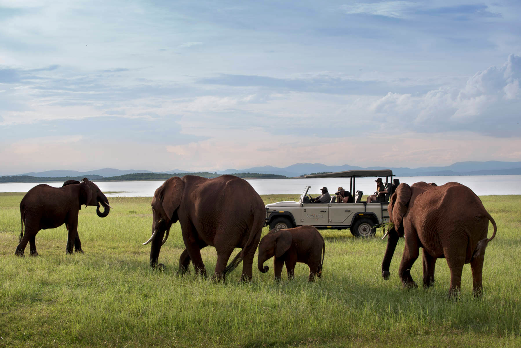 Luxury Safari Magazine welcomes Go2Africa and their wide range of adventures
