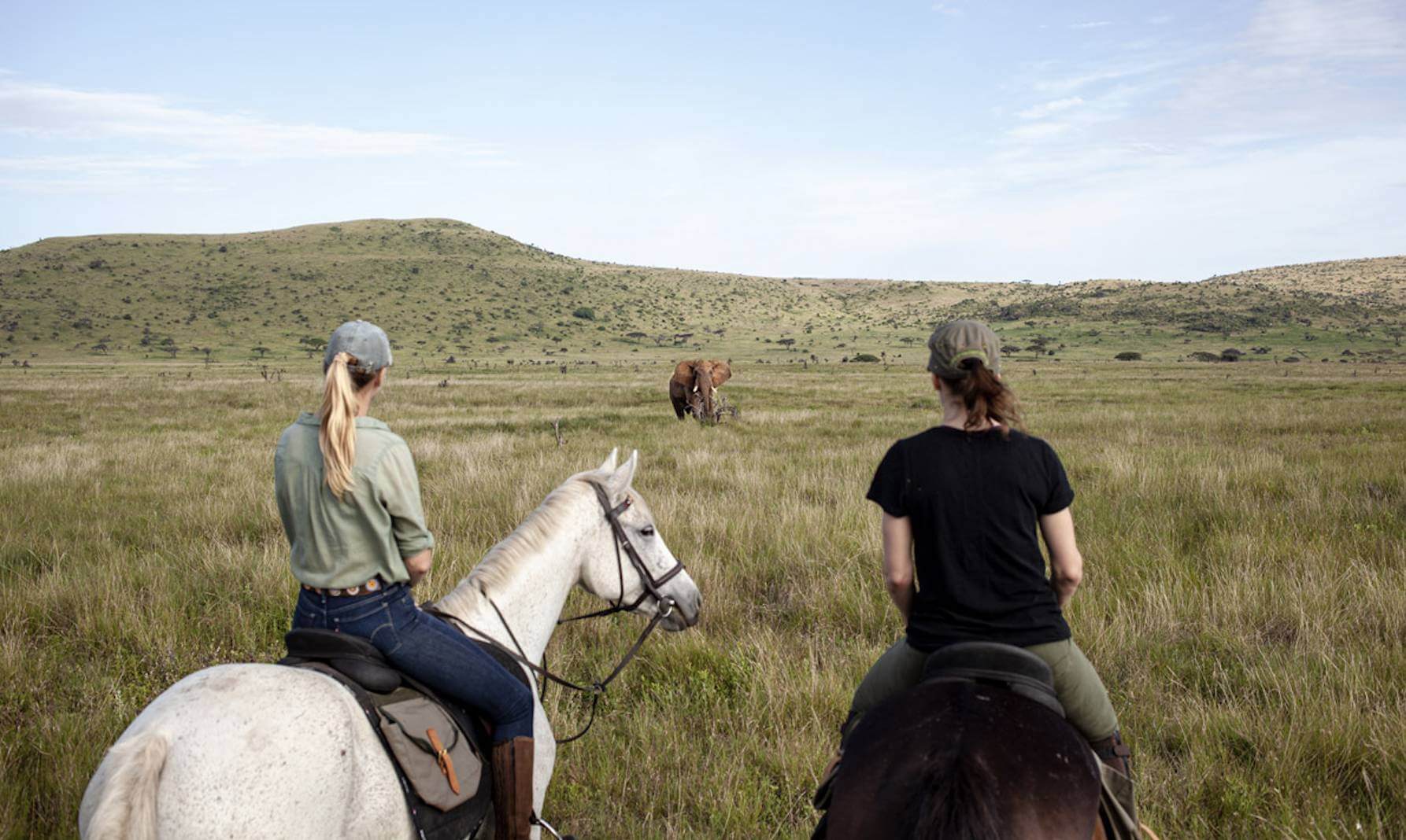 Luxury Safari Magazine welcomes Ride The Wild horse riding and safari holidays