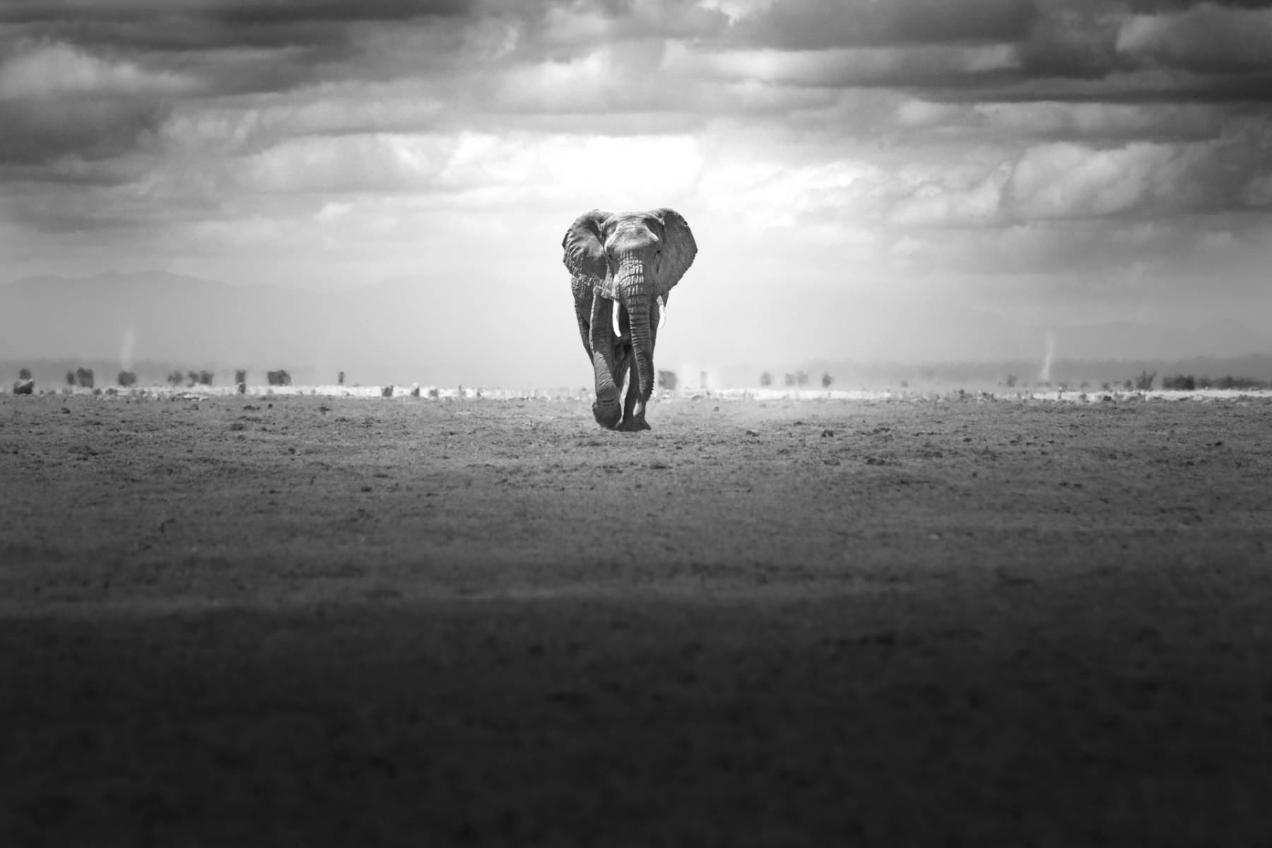 LUXURY SAFARI MAGAZINE INTERVIEWS WORLD RENOWNED WILDLIFE PHOTOGRAPHER - JOHAN SIGGESSON