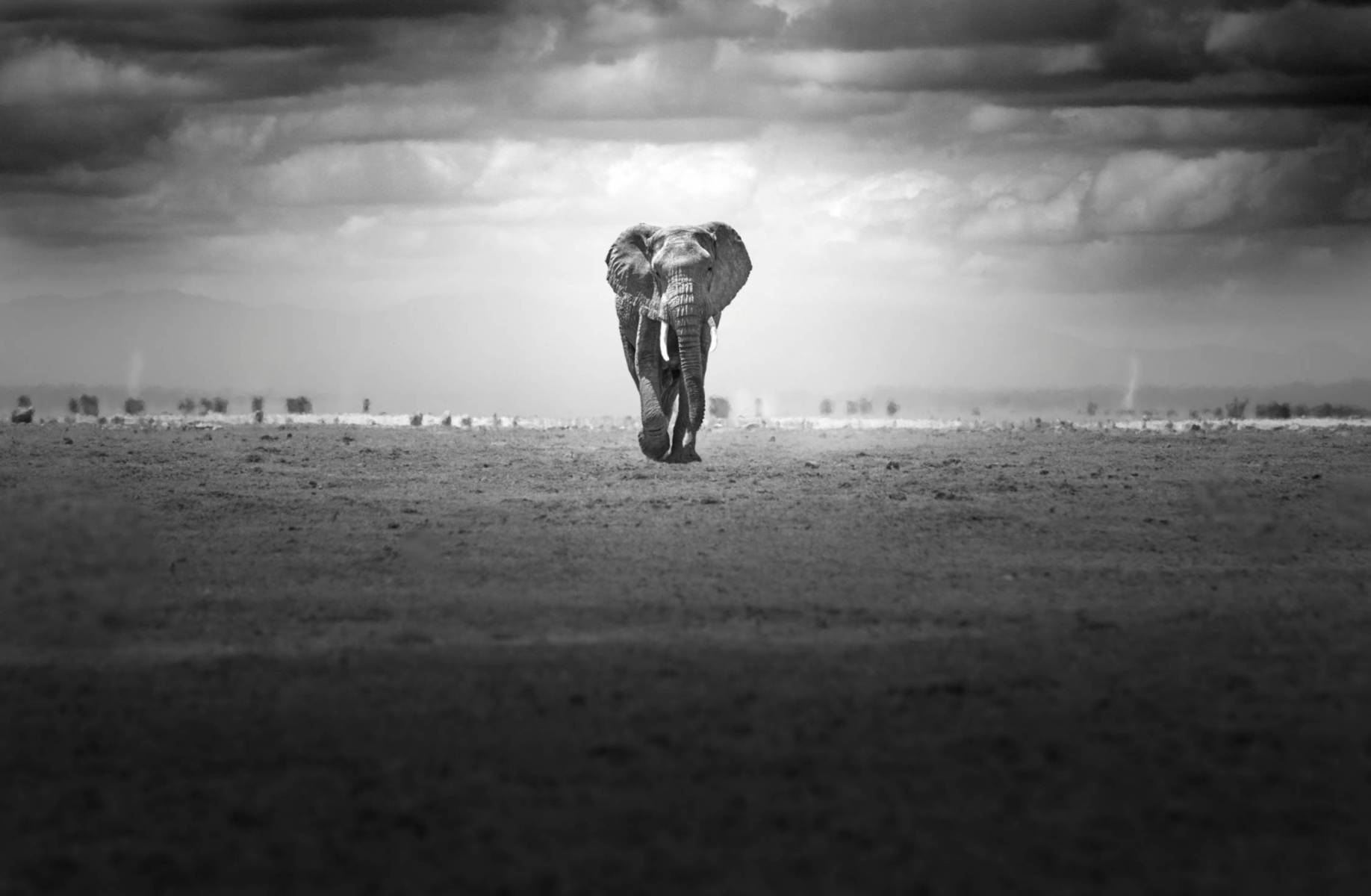 LUXURY SAFARI MAGAZINE WELCOMES JOHAN SIGGESSON WILDLIFE PHOTOGRAPHY 