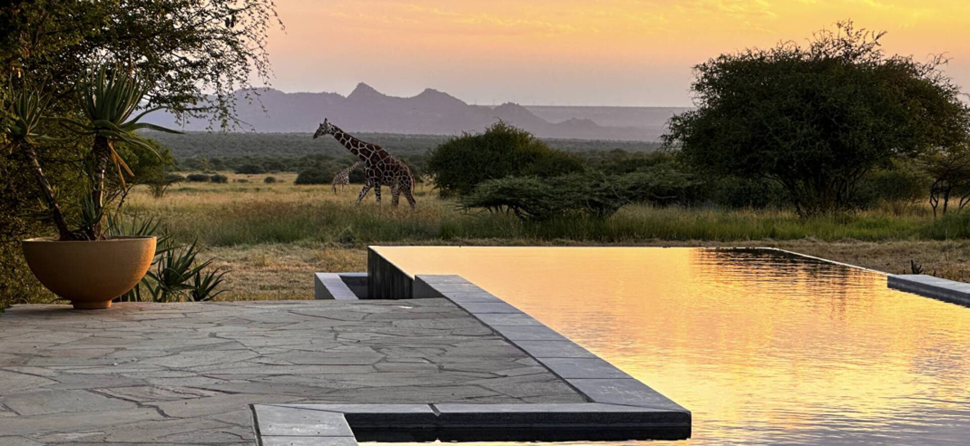 WELCOME TO AWARD-WINNING LUXURY SAFARI MAGAZINE