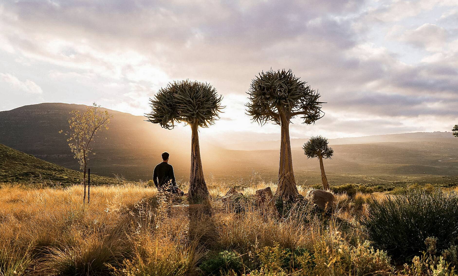 A Retreat Shaped by the Elements: Emma Blunt Experiences Simbavati Cederberg Ridge