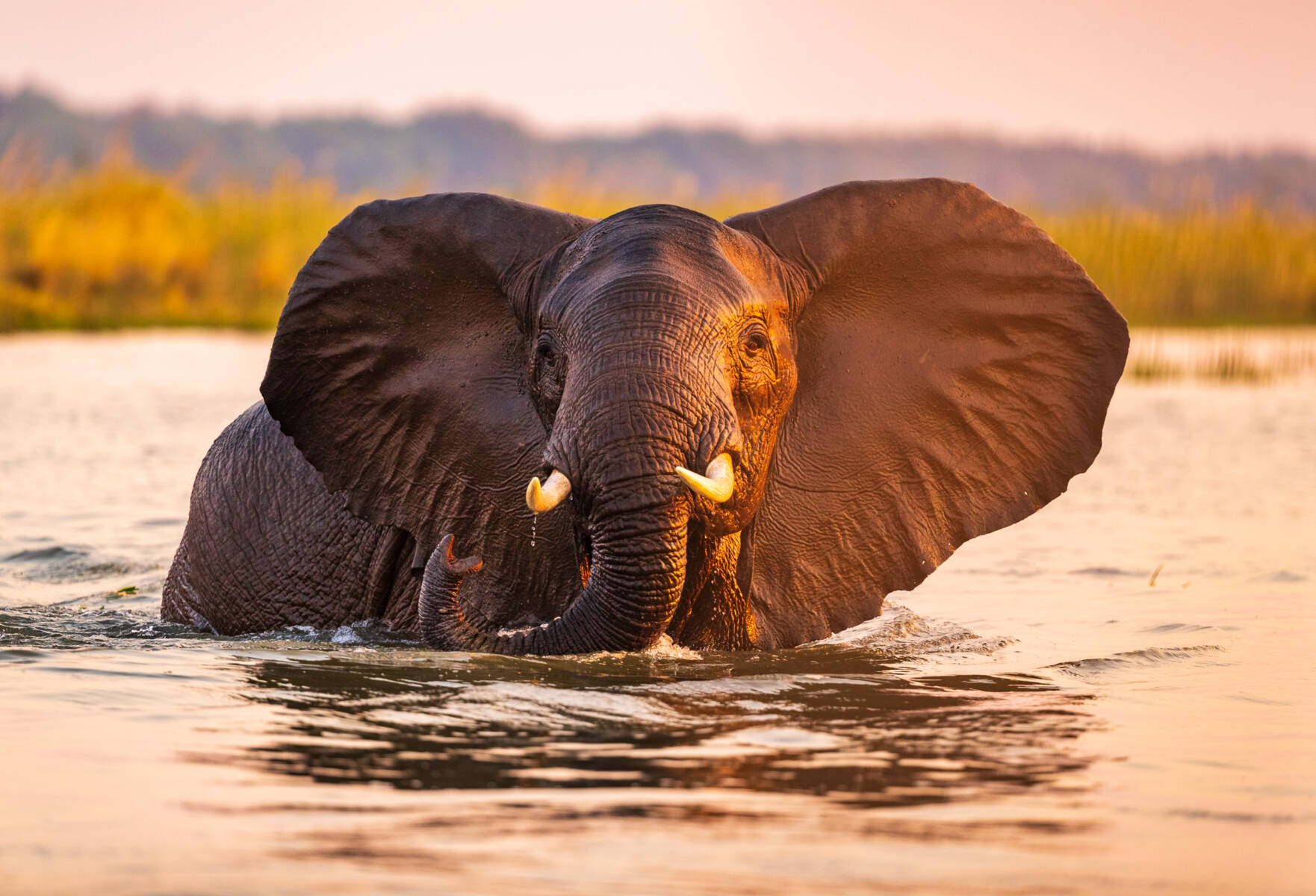 Planning your next luxury African getaway?