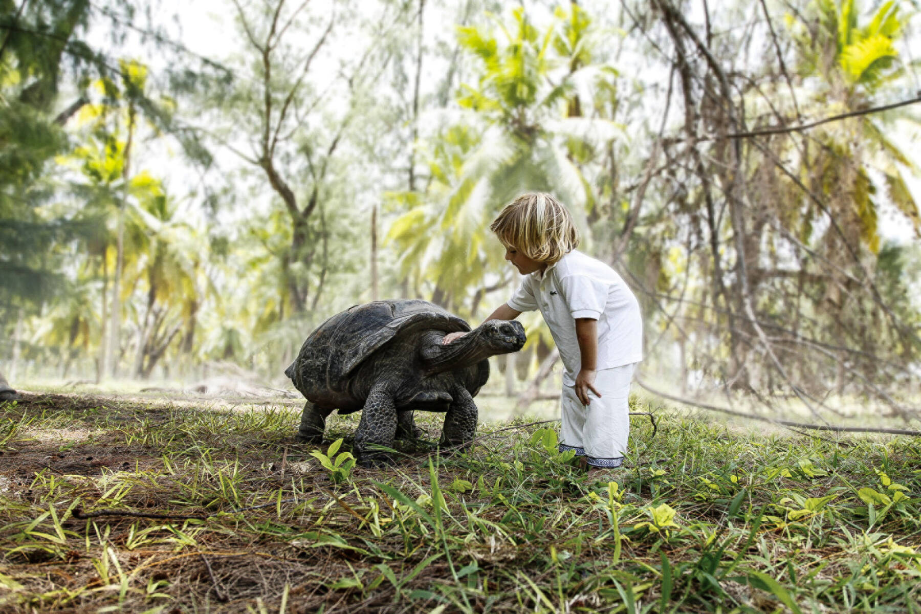Island Scale: Inside Four Seasons Desroches and Its New Five-Bedroom Villa