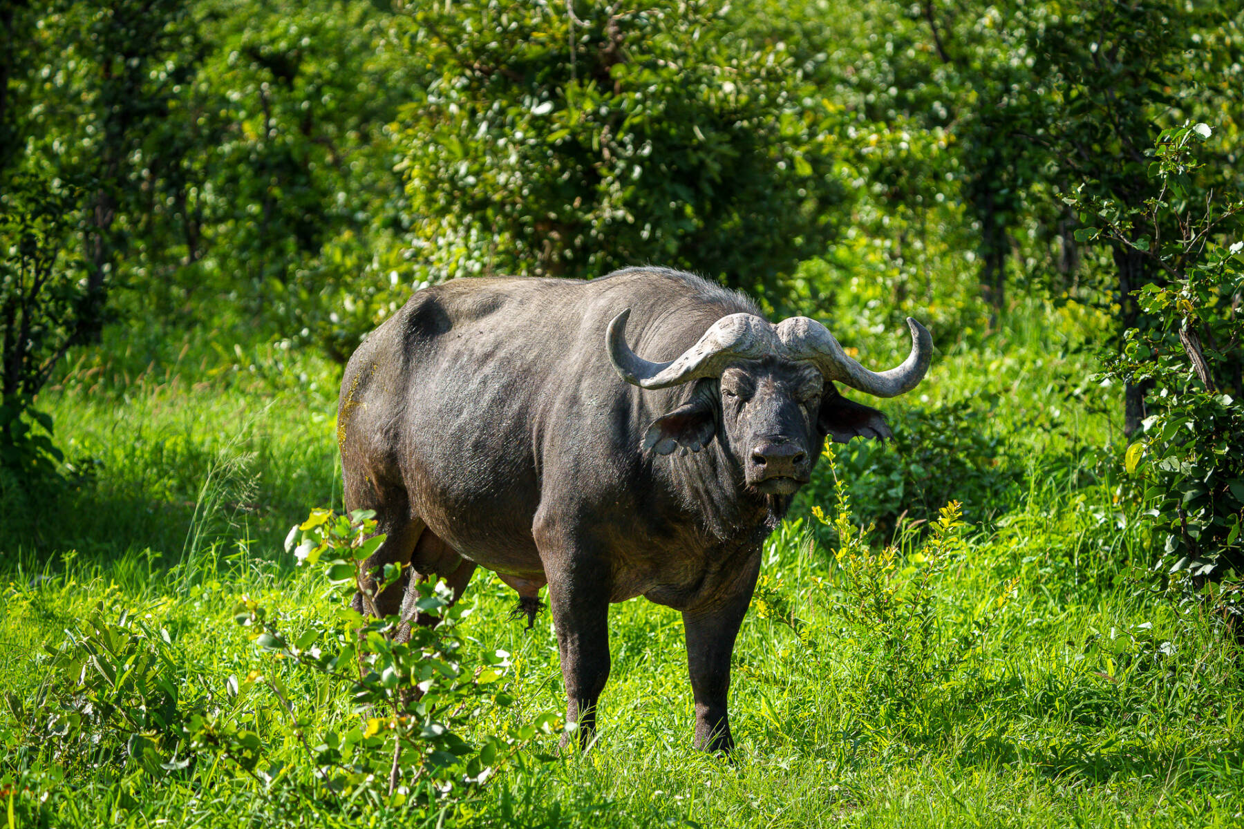 Planning your next luxury African getaway?